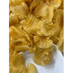 特級湛江本土赤嘴花膠｜500 克裝