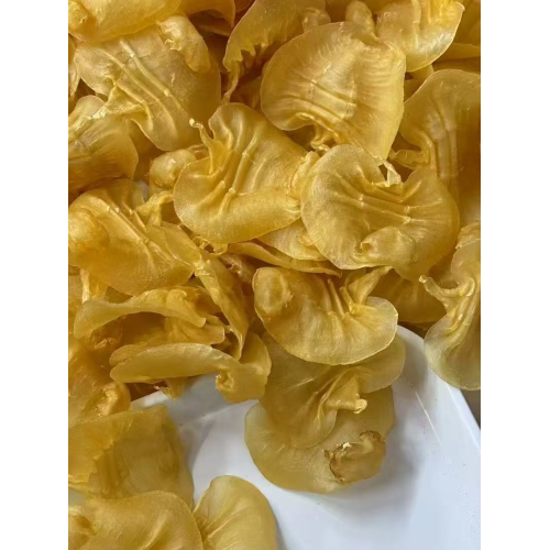 特級湛江本土赤嘴花膠|500 克裝 特級湛江本土赤嘴花膠|500 克裝