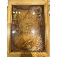 3頭特大野生鳘魚肚 一斤禮盒裝 完整厚肉大花膠 高端收藏滋補 (3 Heads, 500g)