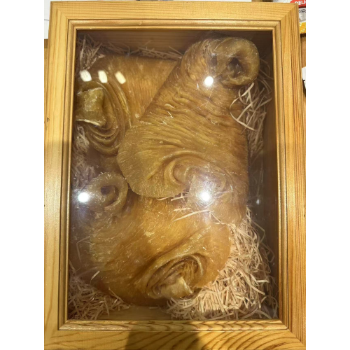 3頭特大野生鳘魚肚 一斤禮盒裝 完整厚肉大花膠 高端收藏滋補 (3 Heads, 500g)
